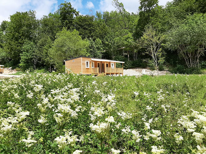 cottages du hérisson jura champ fleurs