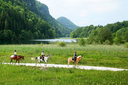 Activités jurassiennes cottages du hérisson randonnée cheval